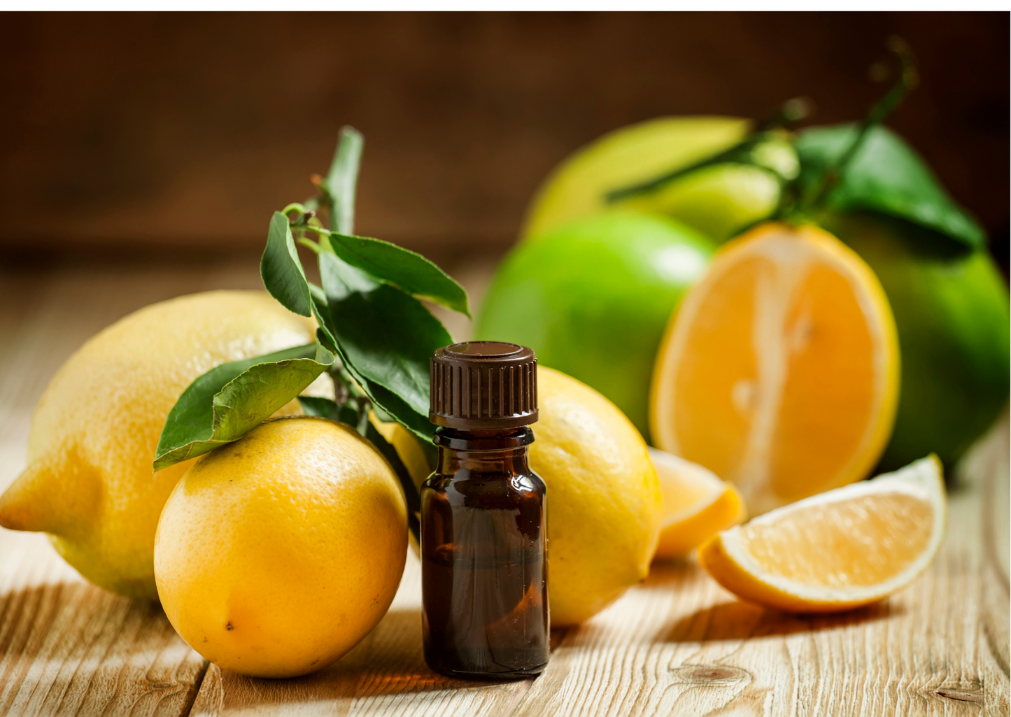 Olive Oil Candles "SOUTHERN LAND" Eucalyptus, lemon, Tea Tree